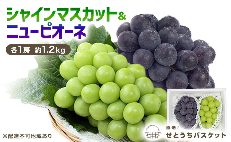 【ふるさと納税】ぶどう 2026年 先行予約 シャインマスカット ＆ ニューピオーネ 各1房 約1.2kg ブドウ 葡萄 岡山県産 国産 フルーツ 果物 直送！せとうちバスケット　お届け：2026年9月中旬～2026年9月末頃 サムネイル2