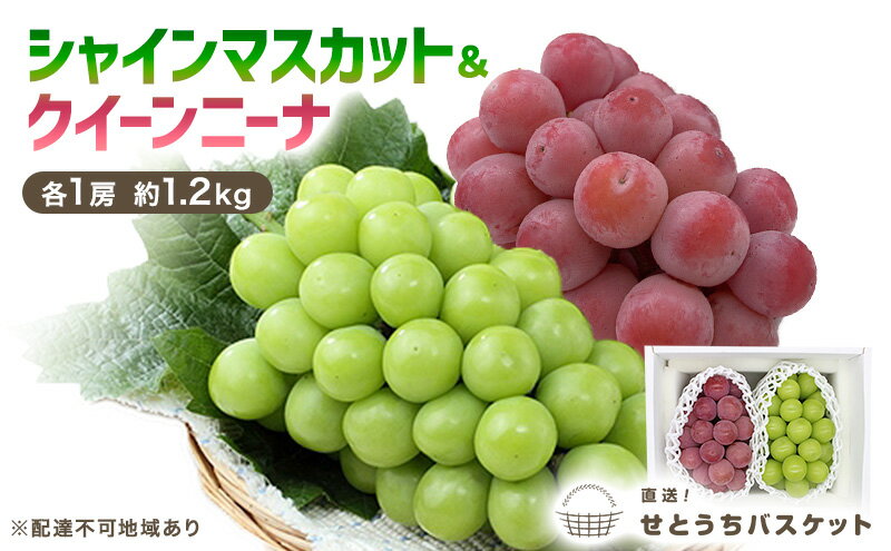 【ふるさと納税】ぶどう 2026年 先行予約 シャインマスカット ＆ クイーンニーナ 各1房 約1.2kg ブドウ 葡萄 岡山県産 国産 フルーツ 果物 直送！せとうちバスケット　お届け：2026年9月中旬～2026年10月上旬 サムネイル2