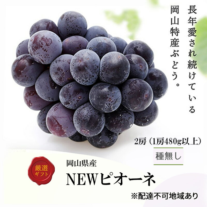 ぶどう 2026年 先行予約 ニューピオーネ 2房(1房480g以上) 化粧箱入り ブドウ 葡萄 岡山県産 国産 フルーツ 果物 ギフト　お届け：2026年8月下旬～2026年10月上旬