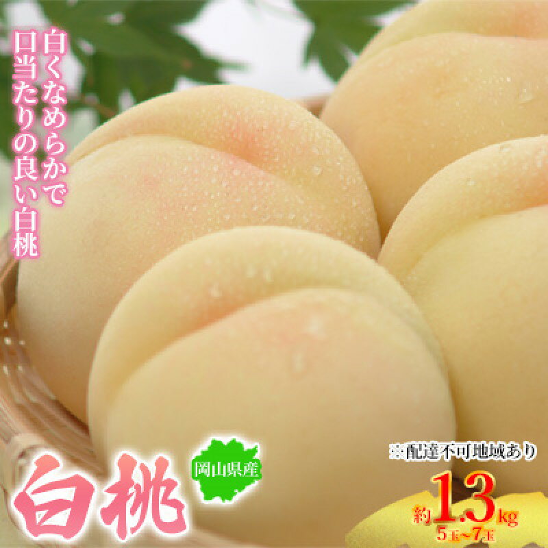 桃 2026年先行予約 岡山県産 白桃 約1.3kg 5～7玉 お届け 7月上旬～7月下旬　お届け：2026年7月上旬～2026年7月下旬