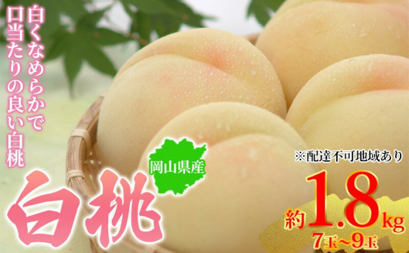 【ふるさと納税】桃 2026年先行予約 岡山県産 白桃 約1.8kg 7～9玉 お届け 7月上旬～7月下旬　お届け：2026年7月上旬～2026年7月下旬 サムネイル2