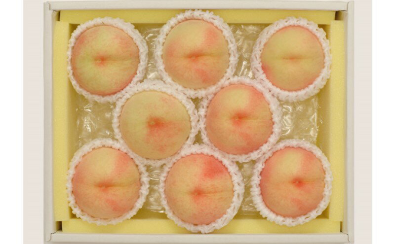 【ふるさと納税】桃 2026年先行予約 岡山県産 白桃 約1.8kg 7～9玉 お届け 7月上旬～7月下旬　お届け：2026年7月上旬～2026年7月下旬 サムネイル3