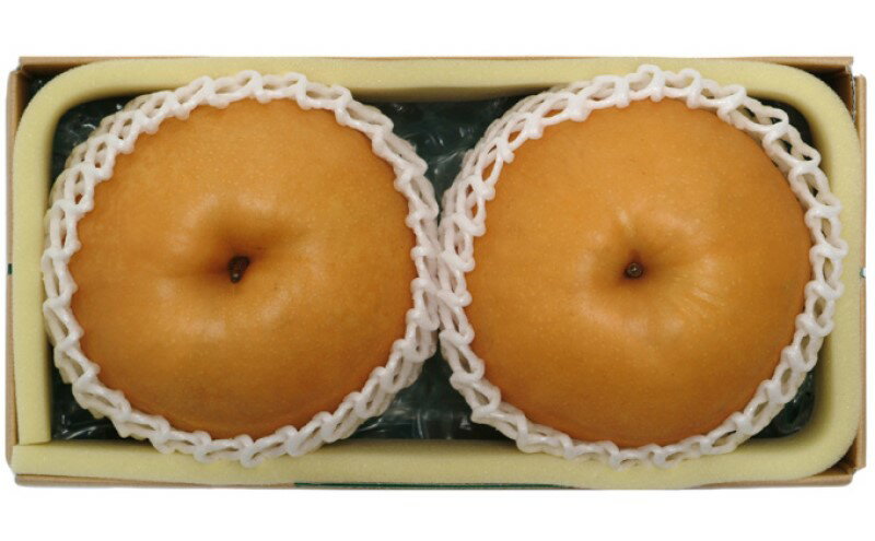 【ふるさと納税】梨 2025年先行予約 岡山県産 あたご梨 約1.6kg 2玉 お届け 11月下旬～12月中旬　お届け：2025年11月下旬～2025年12月中旬 サムネイル3