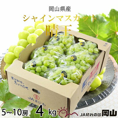 【ふるさと納税】【2025年8月下旬より発送】岡山県産 シャインマスカット 晴王 4kg(5房～10房) ぶどう 葡萄 ブドウ フルーツ 果物　お届け：2025年8月20日～2025年11月30日 サムネイル2