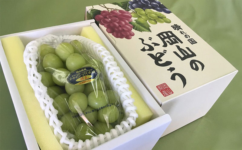 【ふるさと納税】ぶどう 先行予約 シャインマスカット 晴王 1房 800g以上 ブドウ 葡萄 岡山県産 国産 フルーツ 果物 ギフト　お届け：2025年9月上旬～2025年12月下旬 サムネイル3