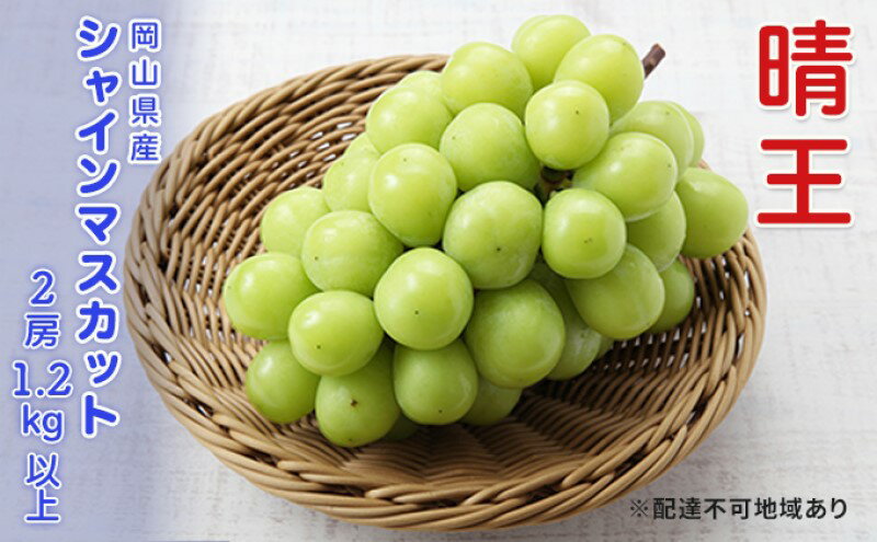 【ふるさと納税】ぶどう 先行予約 シャインマスカット 晴王 2房 合計1.2kg以上 ブドウ 葡萄 岡山県産 国産 フルーツ 果物 ギフト　お届け：2025年9月上旬～2025年12月下旬 サムネイル2