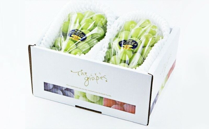 【ふるさと納税】ぶどう 先行予約 シャインマスカット 晴王 2房 合計1.2kg以上 ブドウ 葡萄 岡山県産 国産 フルーツ 果物 ギフト　お届け：2025年9月上旬～2025年12月下旬 サムネイル3