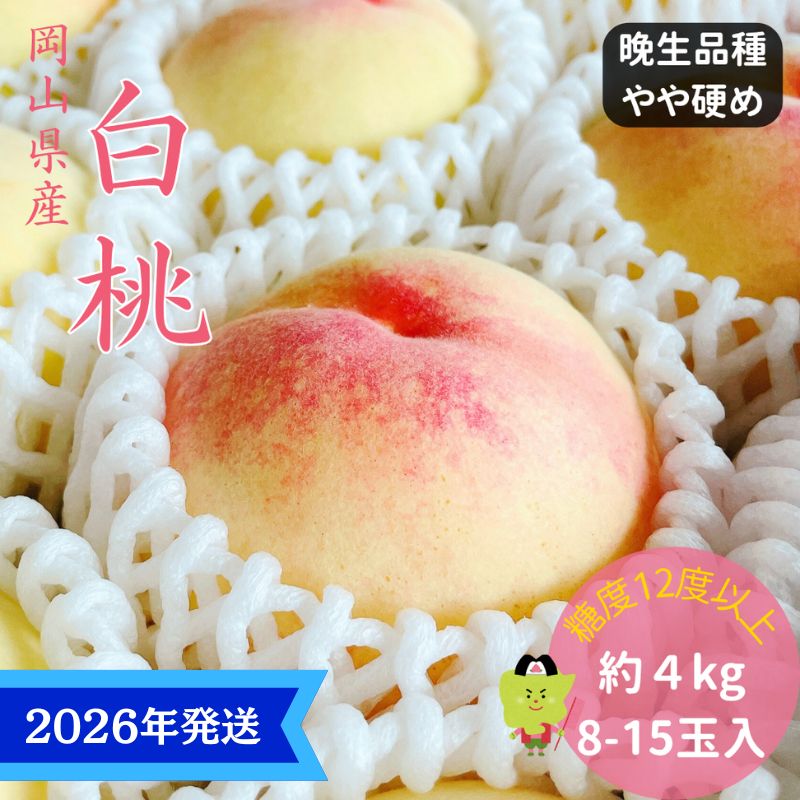 【2026年先行受付】 白桃 特秀 ロイヤル 大玉 晩生品種 約4kg(8～15玉) 岡山県産 桃 もも モモ 御中元 ギフト 御礼 プレゼント 御礼 御祝 御供 果物 くだもの フルーツ　お届け：2026年8月中旬～2026年9月上旬