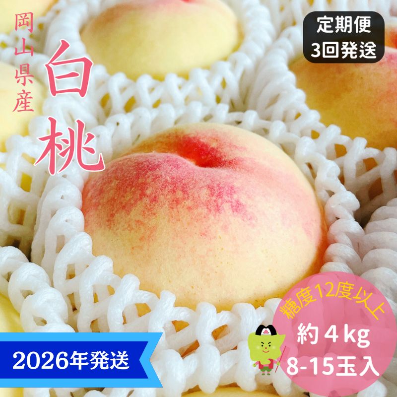 【2026年先行受付】 白桃 3回 定期便 特秀 ロイヤル 大玉 岡山県産 桃 もも モモ 御中元 ギフト 御礼 プレゼント 御礼 御祝 御供 果物 くだもの フルーツ　お届け：2026年7月上旬～2026年8月上旬