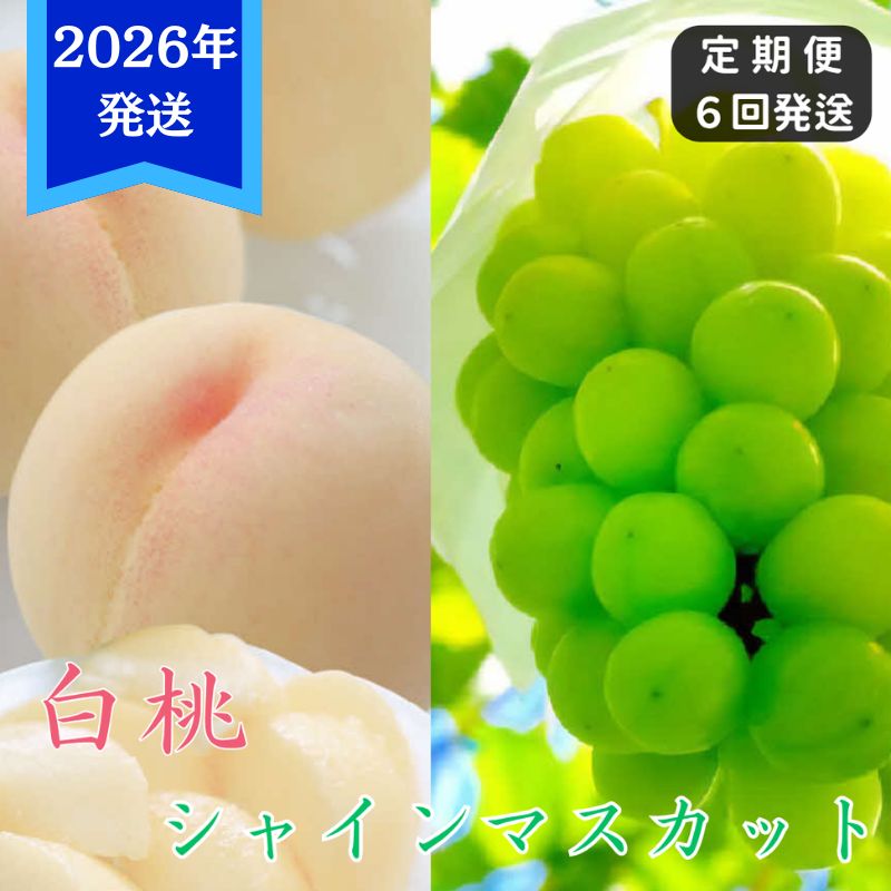 【2026年先行受付】 白桃 シャインマスカット 晴王 6回 定期便 桃 ぶどう 岡山県産 御中元 ギフト 御礼 プレゼント 御礼 御祝 御供 果物 くだもの フルーツ もも モモ 葡萄 ブドウ　お届け：2026年7月上旬～2026年9月下旬