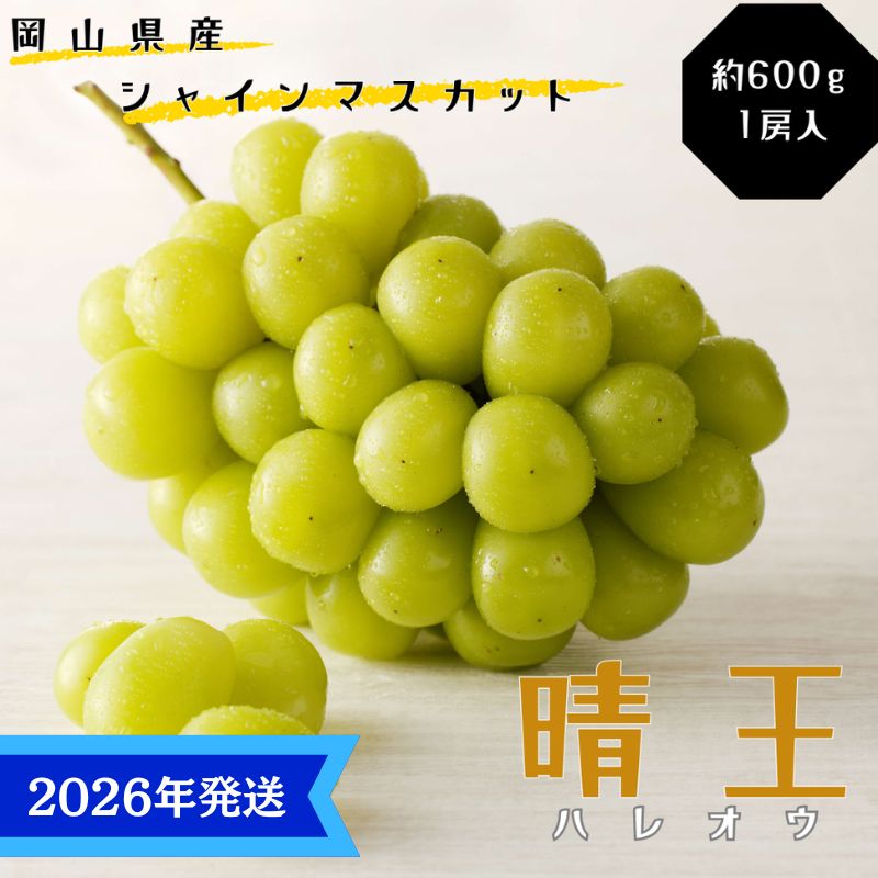 【ふるさと納税】【2026年先行受付】 シャインマスカット 晴王 秀品 約600g 1房 岡山県産 ぶどう 葡萄 ブドウ 御中元 ギフト 御礼 プレゼント 御礼 御祝 御供 果物 くだもの フルーツ　お届け：2026年8月中旬～2026年11月上旬 サムネイル2