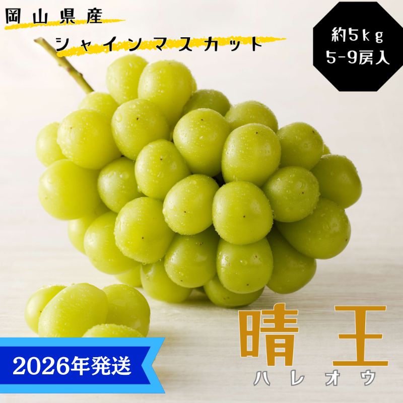 【2026年先行受付】 シャインマスカット 晴王 秀品 大房 約5kg(5～9房) 岡山県産 岡山県産 ぶどう 葡萄 ブドウ ギフト 御礼 プレゼント 御礼 御祝 御供 果物 くだもの フルーツ　お届け：2026年8月中旬～2026年11月下旬