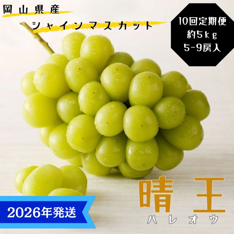 【2026年先行受付】 シャインマスカット 晴王 10回 定期便 秀品 大房 岡山県産 ぶどう ギフト 御礼 プレゼント 御礼 御祝 御供 果物 くだもの フルーツ　お届け：2026年7月上旬～2026年11月下旬