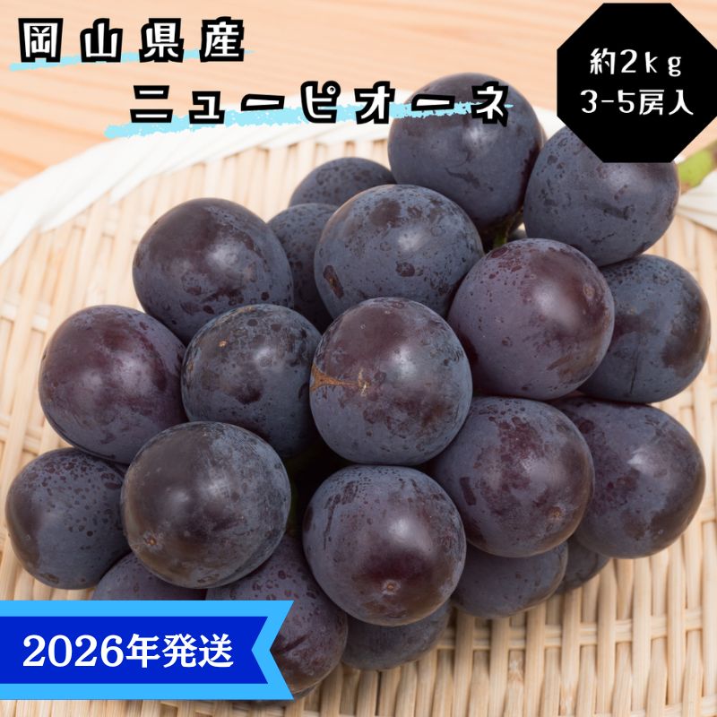 【ふるさと納税】【2026年先行受付】 ぶどう ニューピオーネ 秀品 約2kg(3～5房) 岡山県産 ぶどう 葡萄 ブドウ ギフト 御礼 プレゼント 御礼 御祝 御供 果物 くだもの フルーツ　お届け：2026年8月中旬～2026年9月下旬 サムネイル2