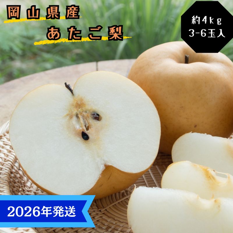 【2026年先行受付】 梨 あたご梨 秀品 約4kg(3～6玉) 岡山名産 日本一大きな梨 なし ナシ お歳暮 ギフト 御礼 プレゼント 御礼 御祝 御供 果物 くだもの フルーツ　お届け：2026年11月下旬～2026年12月下旬
