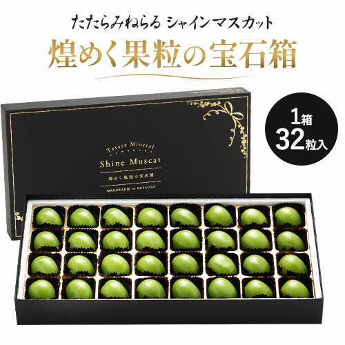 【先行予約】シャインマスカット 岡山 ギフト たたらみねらる 煌めく果粒の宝石箱 糖度18度以上 甘い 種無し 獲れたて ぶどう ブドウ 葡萄 マスカット《2026年8月下旬-10月下旬頃出荷予定》