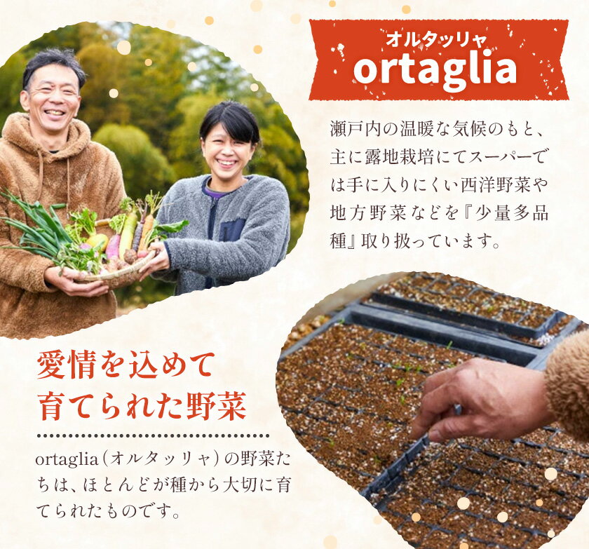 【ふるさと納税】キクイモ 約2kg 訳あり 《2026年11月上旬-2027年3月下旬頃出荷》イモ 野菜 いも 味噌汁 甘酢漬け ポテト チップス ヘルシー 保存食 岡山県 笠岡市 お取り寄せ 送料無料 オルタッリャ ortaglia【配送不可地域あり】 - 画像3