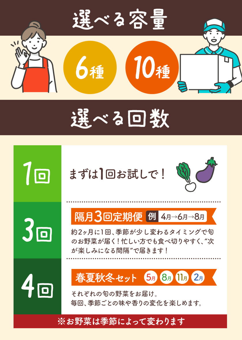 【ふるさと納税】季節の旬野菜 おまかせセット 選べる容量 6種 10種 選べる回数 1回 3回 4回 （農薬・化学肥料不使用）オルタッリャ A-229《出荷時期をお選びください》 - 画像3
