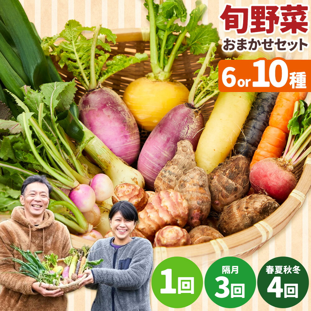季節の旬野菜 おまかせセット 選べる容量 6種 10種 選べる回数 1回 3回 4回 （農薬・化学肥料不使用）オルタッリャ A-229《出荷時期をお選びください》