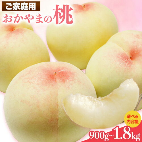 【2026年発送先行予約】ご家庭用 おかやまの桃 選べる 約900g 約1.3kg 約1.8kg 《2026年7月上旬-8月下旬頃出荷》 桃 晴れの国おかやま館 フルーツ 果物 果実 岡山県 笠岡市