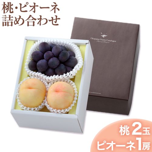 【2026年発送先行予約】桃・ピオーネ詰め合わせ 約1kg クール便 冷蔵便 桃 もも 葡萄 ブドウ ぶどう ピオーネ フルーツ セット 先行予約 晴れの国おかやま館 《2026年8月下旬-9月中旬頃出荷》 フルーツ 果物 果実 岡山県 笠岡市