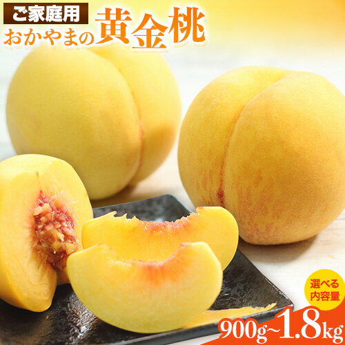【2026年発送先行予約】ご家庭用 おかやまの黄金桃 選べる内容量 約900g〜約1.8kg 先行予約 《2026年8月下旬-9月中旬頃出荷》 桃 黄桃 黄金桃 晴れの国おかやま館 フルーツ 果物 果実 岡山県 笠岡市