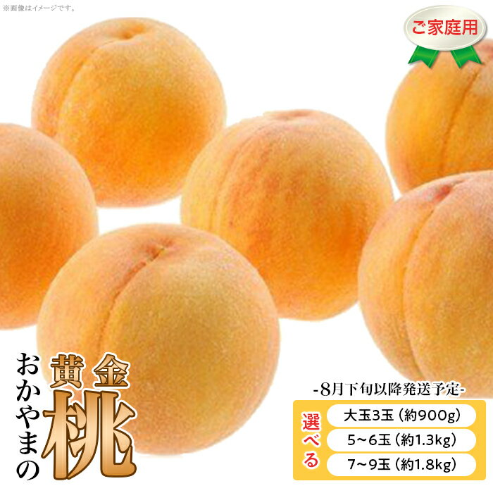 訳あり 家庭用 桃 もも 黄金桃 選べる 大玉 岡山 旬 フルーツ 果物 モモ 岡山の桃 お取り寄せ デザート スイーツ（晴れの国おかやま館）【26年8月下旬以降に順次発送】