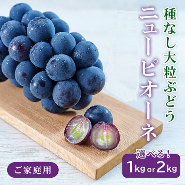 岡山県産 ぶどう 葡萄 ブドウ 種無し 果物 スイーツ フルーツ お取り寄せ 家庭用 訳あり デザート 井原市美星町産ニューピオーネ（ご家庭用）【2026年8月下旬～9月下旬発送予定】