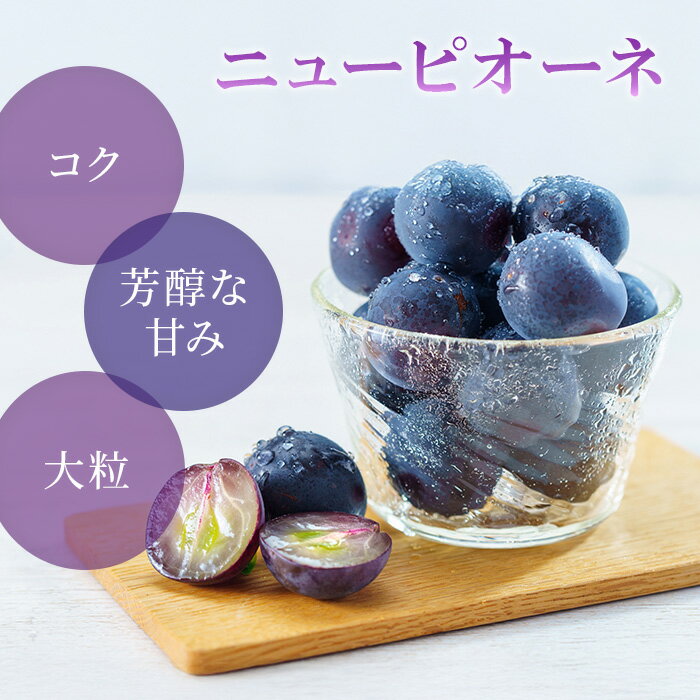 【ふるさと納税】岡山県産 ぶどう 葡萄 ブドウ 種無し 果物 スイーツ フルーツ お取り寄せ 家庭用 訳あり デザート 井原市美星町産ニューピオーネ（ご家庭用）【2026年8月下旬～9月下旬発送予定】 サムネイル2