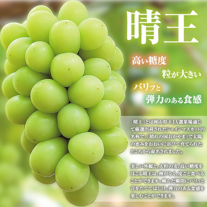 【ふるさと納税】訳あり 果物 シャインマスカット 晴王 大粒 岡山県産 選べる 1房 700g以上 2房 1.2kg以上 ja岡山 皮ごと 種なし ぶどう 葡萄 フルーツ 国産 ブドウ くだもの 先行予約【2026年9月中旬～10月下旬発送予定】（いばら愛菜館） サムネイル2