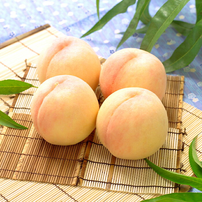 【ふるさと納税】岡山県 岡山白桃 4玉 1kg以上 フルーツ先行予約 果物 桃 冷蔵 74-09 白桃4～5玉（1kg以上）【2026年7月上旬～8月上旬頃発送予定】 サムネイル2