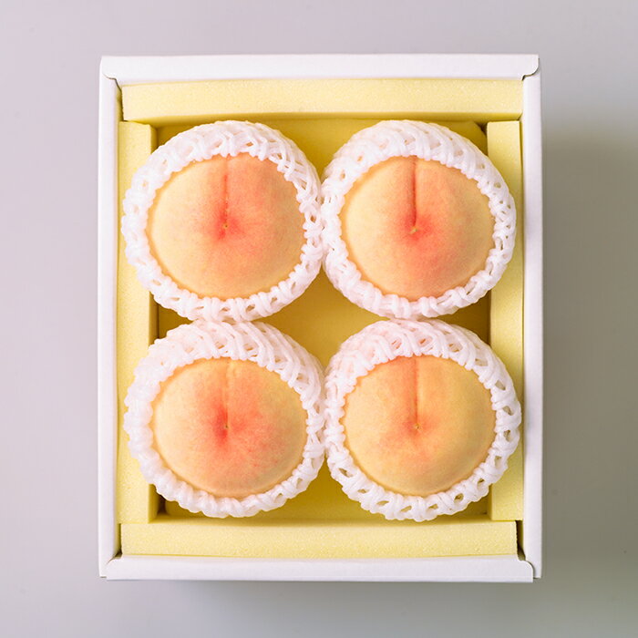 【ふるさと納税】岡山県 岡山白桃 4玉 1kg以上 フルーツ先行予約 果物 桃 冷蔵 74-09 白桃4～5玉（1kg以上）【2026年7月上旬～8月上旬頃発送予定】 サムネイル3