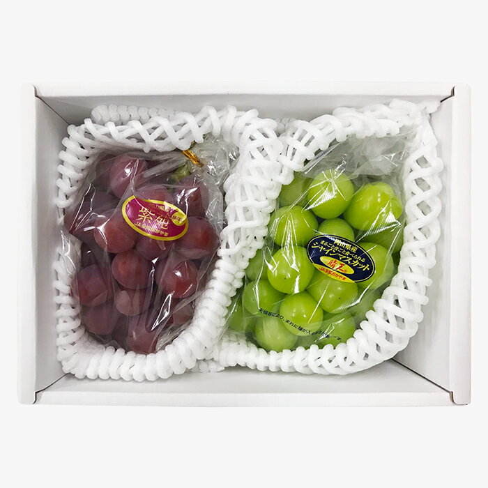 【ふるさと納税】先行予約 岡山 シャインマスカット 種無し ぶどう マスカット 詰合せ 2房 約1.2kg 果物 フルーツ 国産 ブドウ くだもの 岡山県産冬ぶどう2房【2026年11月以降発送】（いばら愛菜館） - 画像3