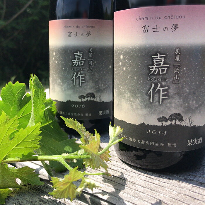 【ふるさと納税】E-17 美星町産ワイン　赤ワイン2本セット　嘉作 サムネイル3