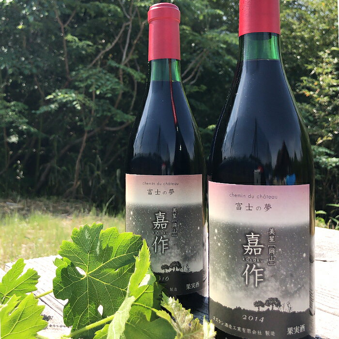 【ふるさと納税】E-17 美星町産ワイン　赤ワイン2本セット　嘉作 サムネイル2