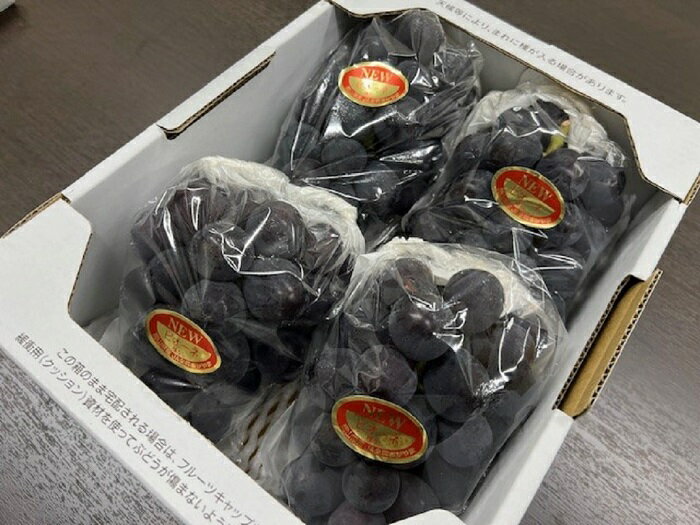 【ふるさと納税】岡山県産 ぶどう 葡萄 ブドウ 種無しぶどう ニューピオーネ ピオーネ 4房 果物 スイーツ フルーツ お取り寄せ ギフト 贈答用 デザート 旬 ニューピオーネ 4房(1房480g以上)【2026年8月下旬～10月上旬発送予定】 サムネイル2