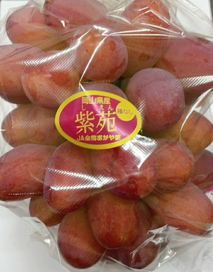 【ふるさと納税】岡山県産 ぶどう 葡萄 ブドウ 種無しぶどう 紫苑 1房 果物 スイーツ フルーツ お取り寄せ ギフト 贈答用 デザート 旬 紫苑 1房(700g以上) 化粧箱入り【2026年10月下旬～11月下旬発送予定】 サムネイル3