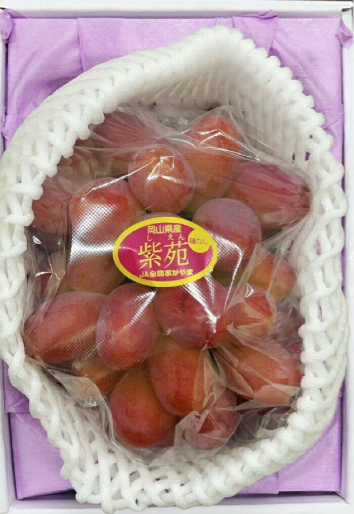 【ふるさと納税】岡山県産 ぶどう 葡萄 ブドウ 種無しぶどう 紫苑 1房 果物 スイーツ フルーツ お取り寄せ ギフト 贈答用 デザート 旬 紫苑 1房(700g以上) 化粧箱入り【2026年10月下旬～11月下旬発送予定】 サムネイル2