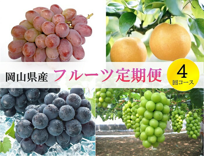 岡山県産 果物 スイーツ フルーツ 定期便 4回 葡萄 ぶどう ブドウ 梨 なし ニューピオーネ シャインマスカット 晴王 紫苑 あたご梨 愛宕梨 デザート 旬 岡山県産 フルーツ定期便 4回コース【2026年産】