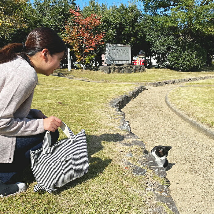 【ふるさと納税】井原デニムランチバッグ（ヒッコリーストライプ） サムネイル2