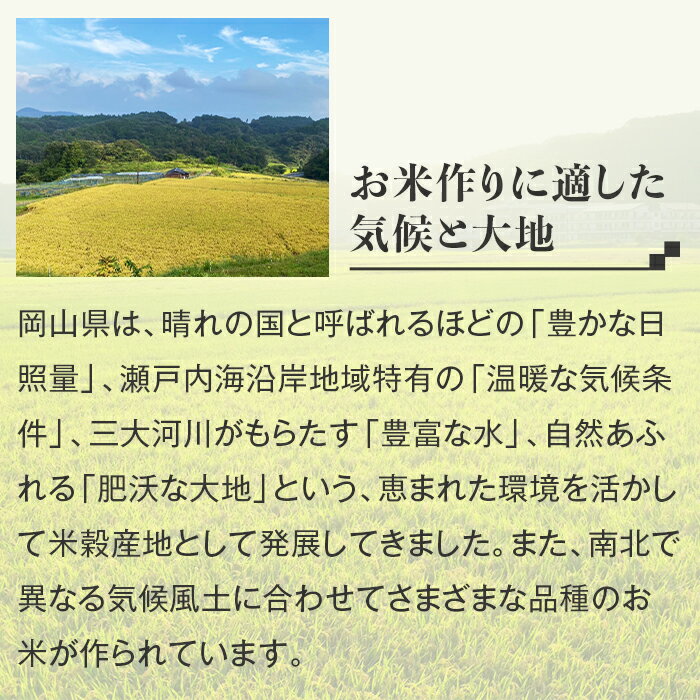 【ふるさと納税】定期便 3回 米 無洗米 令和7年産 2kg 小分け 白米 あきたこまち 保存 保管に便利 【無洗米】岡山県産あきたこまち2kg【3ヶ月連続お届け】 - 画像3