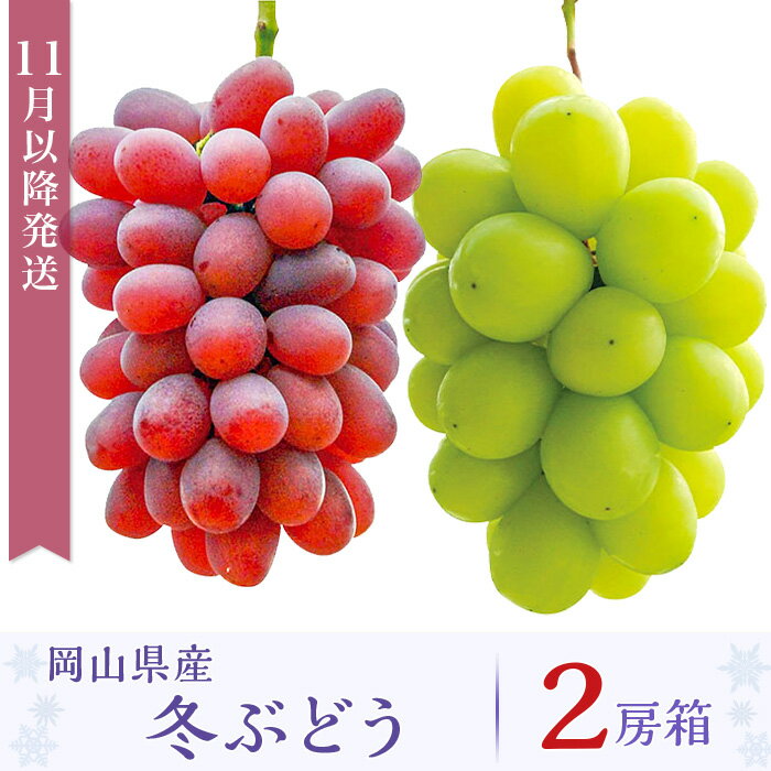 先行予約 岡山 シャインマスカット 種無し ぶどう マスカット 詰合せ 2房 約1.2kg 果物 フルーツ 国産 ブドウ くだもの 岡山県産冬ぶどう2房【2026年11月以降発送】（いばら愛菜館）