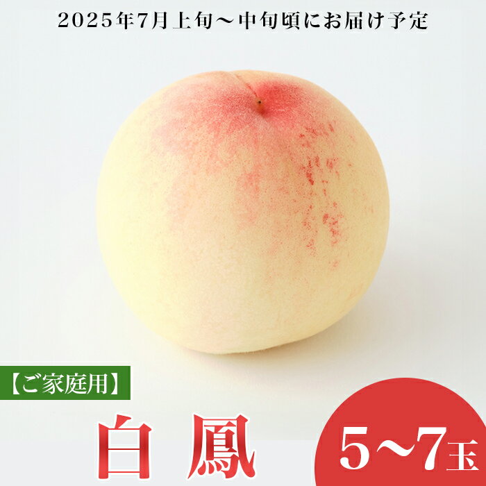 白桃 岡山 桃 もも モモ 岡山の桃 白鳳 スイーツ フルーツ 果物 お取り寄せ デザート 旬 ご家庭用 訳あり 【ご家庭用】岡山白桃 白鳳 5～7玉【2026年7月上旬頃から順次発送】