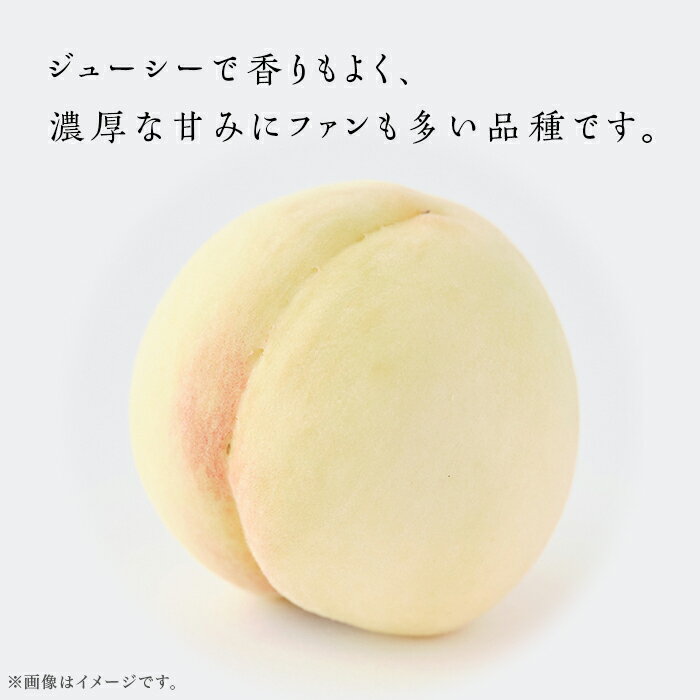 【ふるさと納税】白桃 岡山 桃 もも モモ 岡山の桃 白鳳 スイーツ フルーツ 果物 お取り寄せ デザート 旬 ご家庭用 訳あり 【ご家庭用】岡山白桃 白鳳 5～7玉【2026年7月上旬頃から順次発送】 サムネイル3