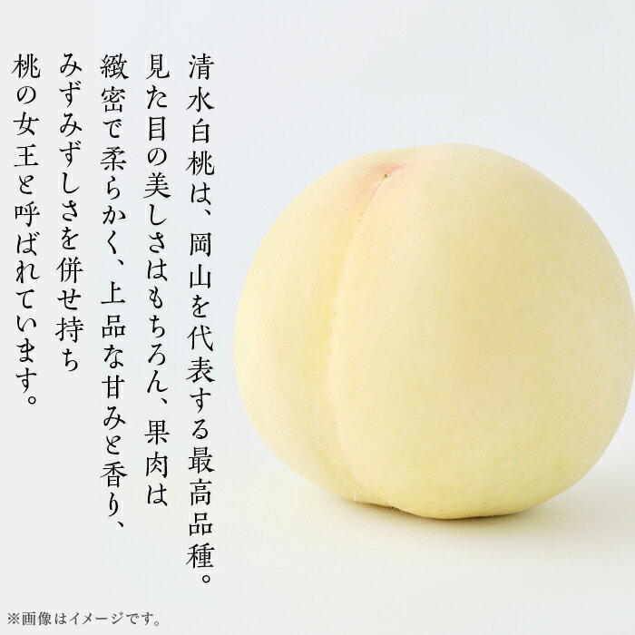 【ふるさと納税】白桃 岡山 桃 もも モモ 岡山の桃 清水白桃 桃の女王 スイーツ フルーツ 果物 お取り寄せ デザート 旬 ご家庭用 訳あり 【ご家庭用】岡山白桃 清水白桃 5～7玉【2026年7月中旬頃から順次発送】 サムネイル2