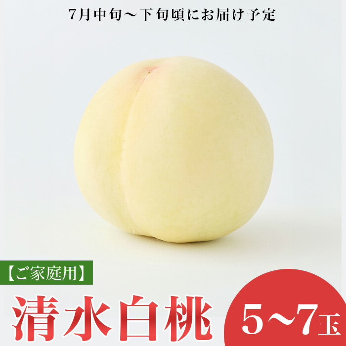 白桃 岡山 桃 もも モモ 岡山の桃 清水白桃 桃の女王 スイーツ フルーツ 果物 お取り寄せ デザート 旬 ご家庭用 訳あり 【ご家庭用】岡山白桃 清水白桃 5～7玉【2026年7月中旬頃から順次発送】