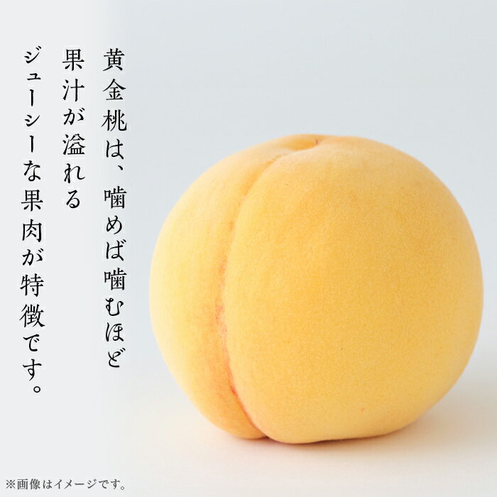 【ふるさと納税】黄桃 岡山 桃 もも モモ 岡山の桃 黄金桃 スイーツ フルーツ 果物 お取り寄せ デザート 旬 ご家庭用 訳あり 【ご家庭用】岡山県産 黄金桃 5～7玉【2026年8月下旬頃から順次発送】 サムネイル2