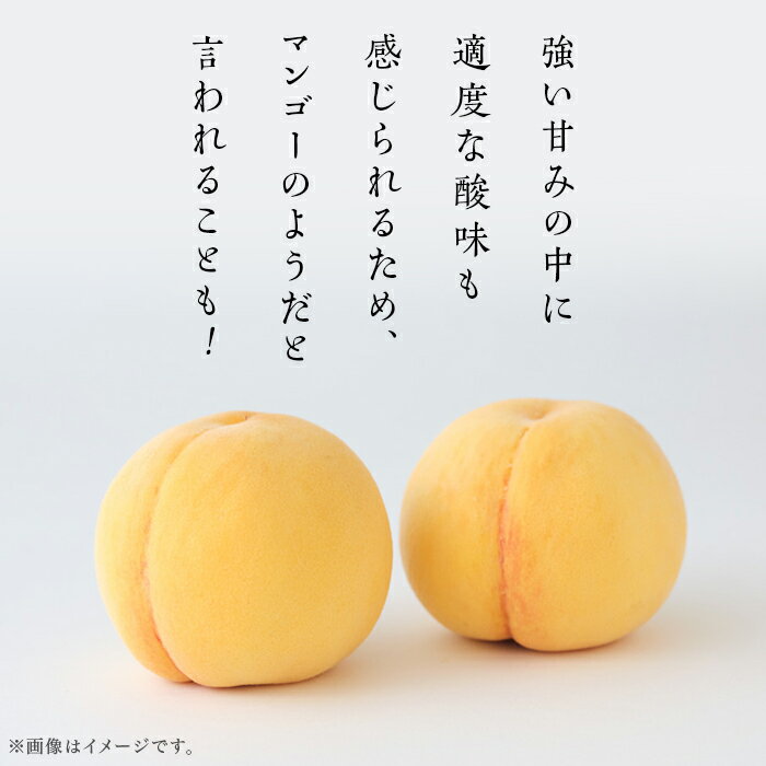 【ふるさと納税】黄桃 岡山 桃 もも モモ 岡山の桃 黄金桃 スイーツ フルーツ 果物 お取り寄せ デザート 旬 ご家庭用 訳あり 【ご家庭用】岡山県産 黄金桃 5～7玉【2026年8月下旬頃から順次発送】 サムネイル3