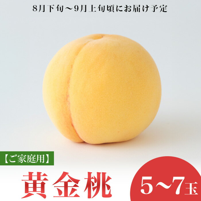 黄桃 岡山 桃 もも モモ 岡山の桃 黄金桃 スイーツ フルーツ 果物 お取り寄せ デザート 旬 ご家庭用 訳あり 【ご家庭用】岡山県産 黄金桃 5～7玉【2026年8月下旬頃から順次発送】
