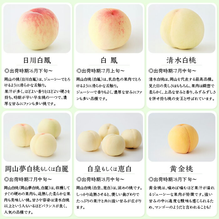 【ふるさと納税】白桃 岡山 桃 もも モモ 岡山の桃 清水白桃 桃の女王 スイーツ フルーツ 果物 お取り寄せ デザート 旬 ご家庭用 訳あり 【ご家庭用】岡山白桃 清水白桃 5～7玉【2026年7月中旬頃から順次発送】 サムネイル3